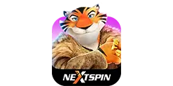 NextSpin logo